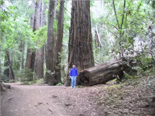 small_010715 co-caIMG_0569.webp